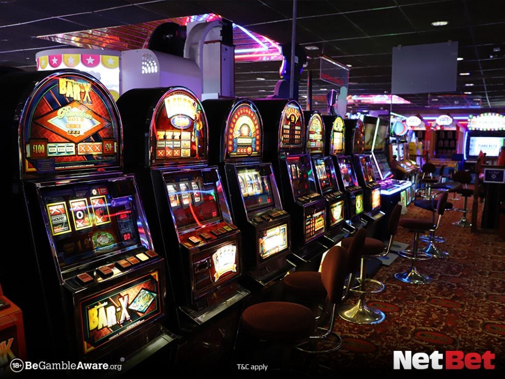 777tiger|Explore bingo online com app exclusivo Cadastre-se Hoje